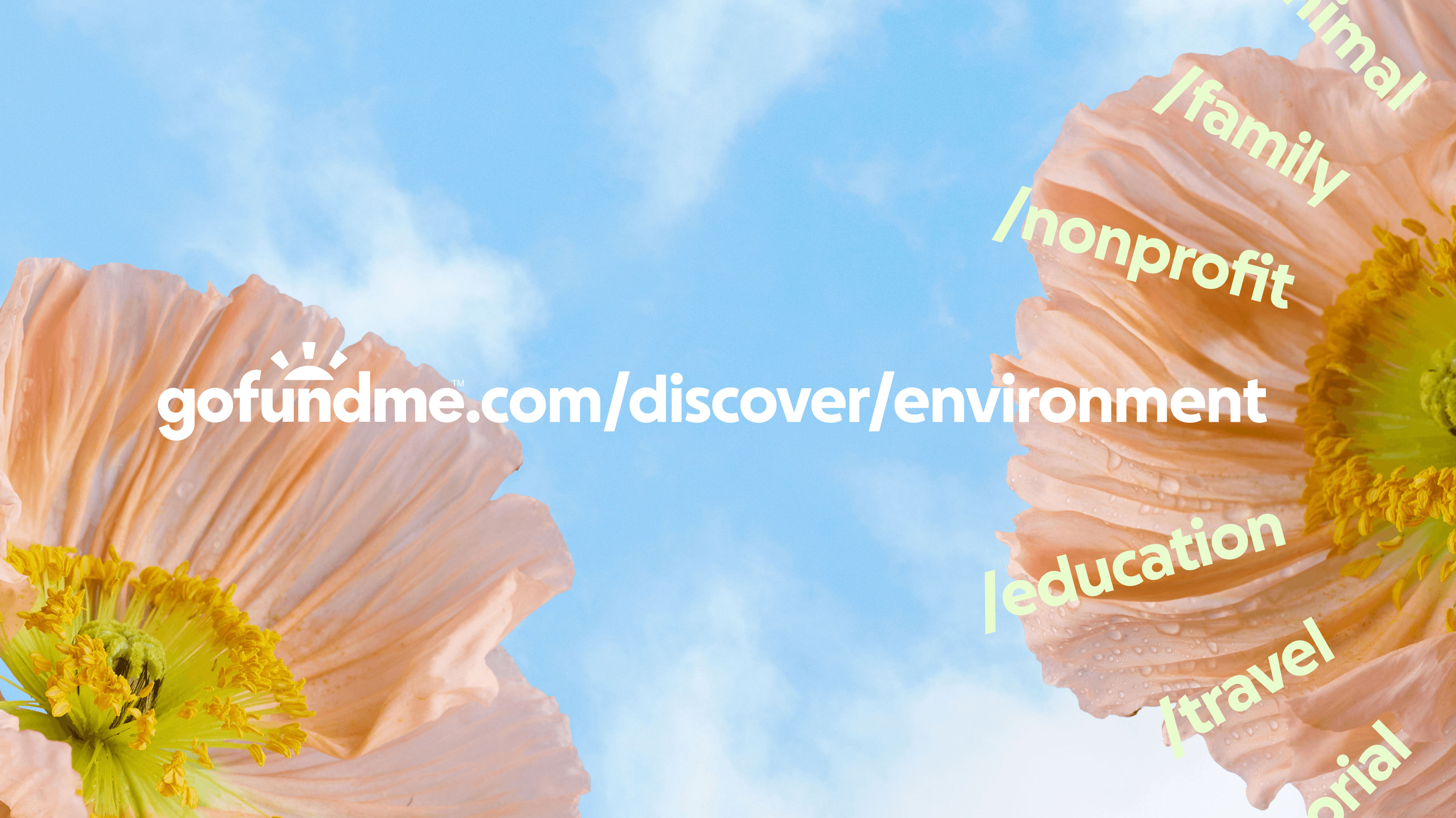 URL of “gofundme.com/discover/environment” overlaid on flower macro shot.