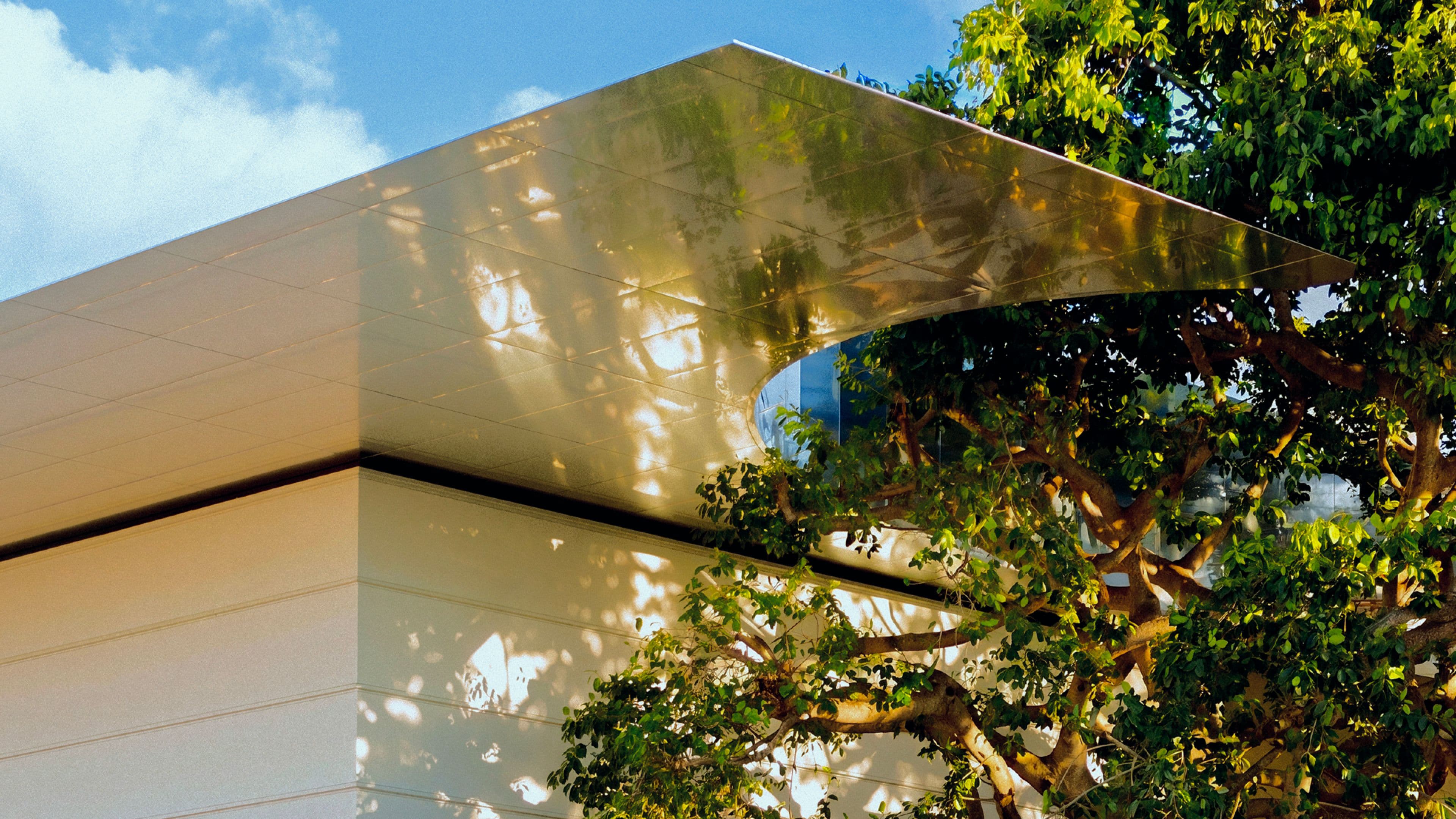 A close-up of the Norton Museum of Art's reflective golden roof canopy, with dappled sunlight filtering through the branches of a large tree in the foreground. 